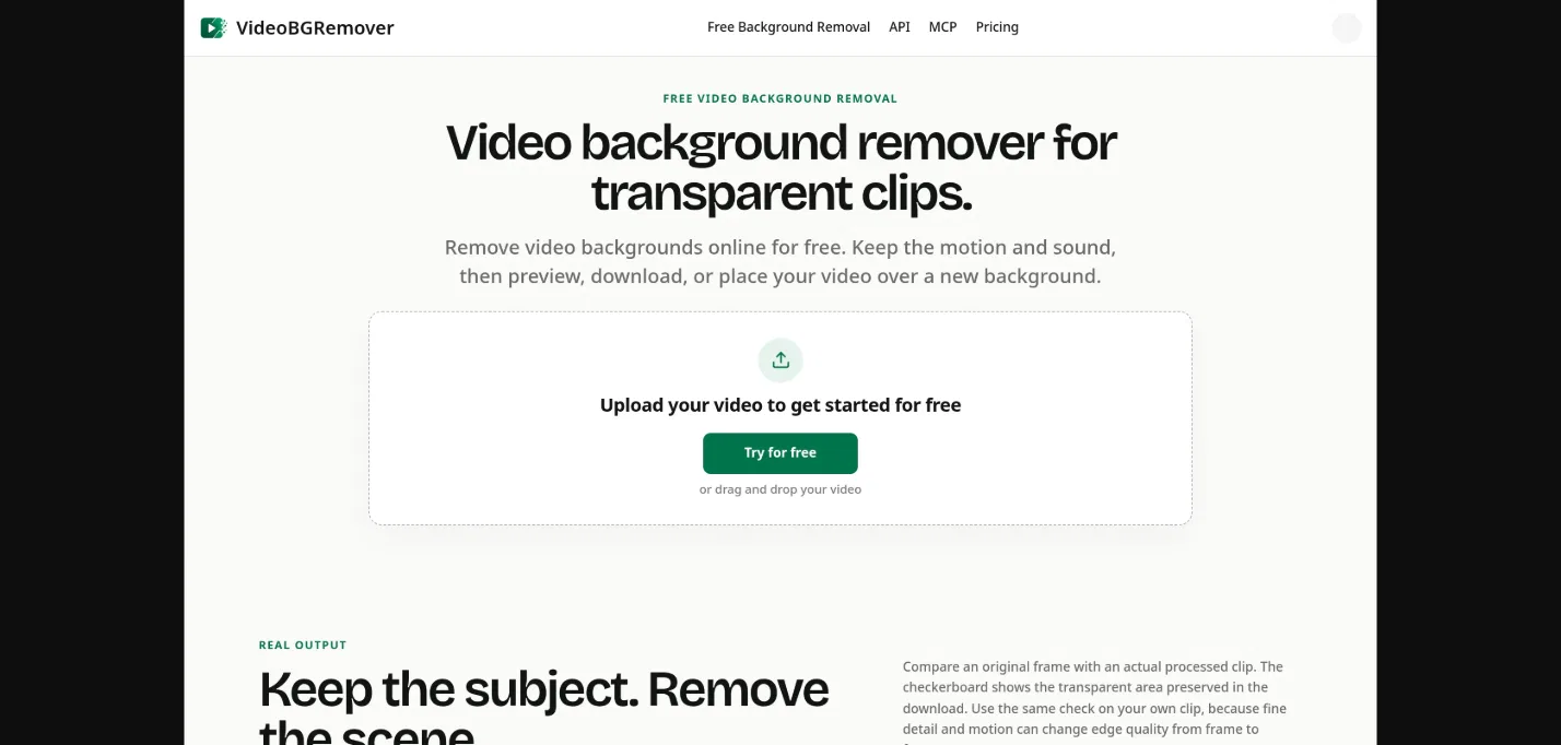 VideoBGRemover screenshot 1