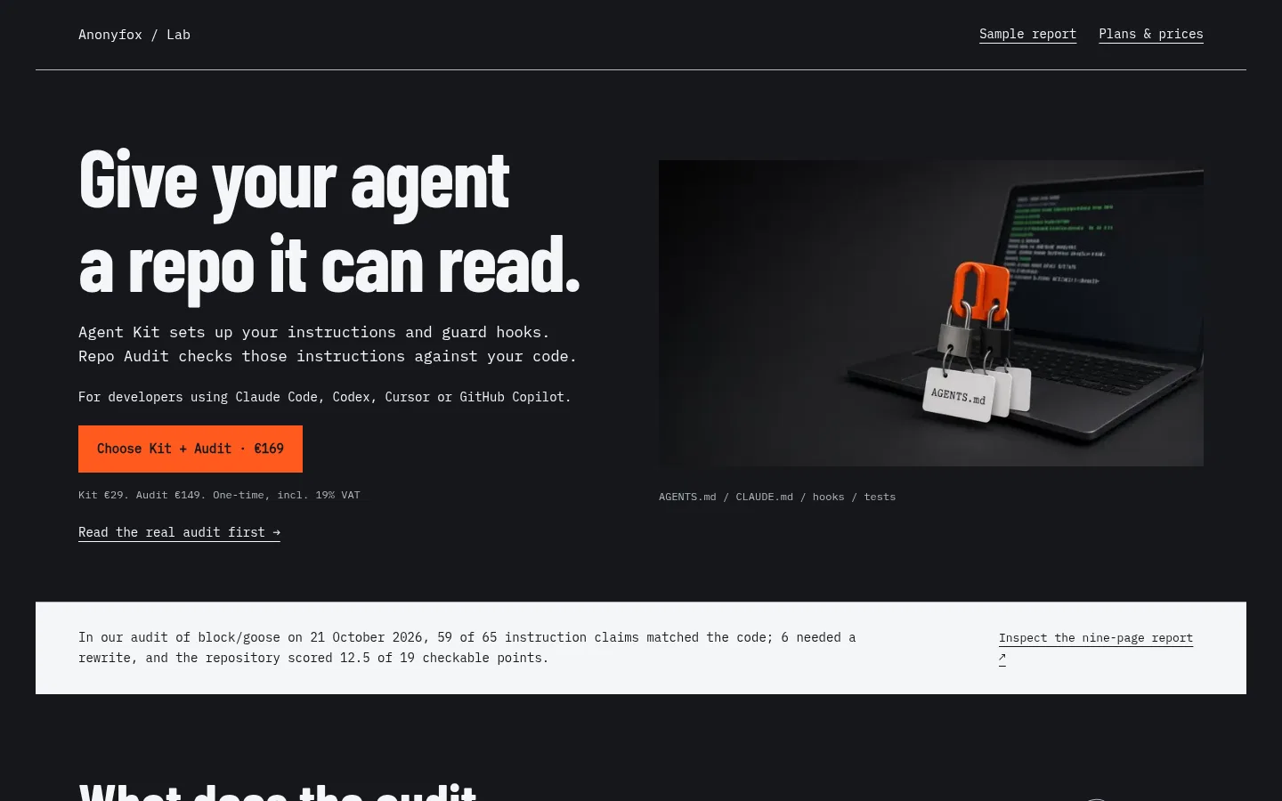 Agent Kit & Repo Audit screenshot 1