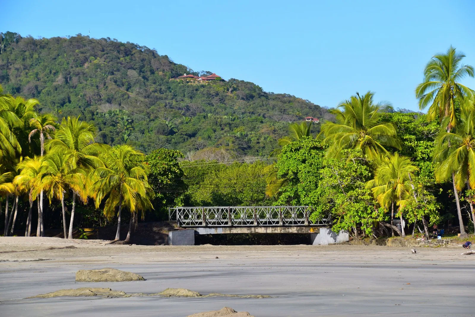 Pura Vida Pass screenshot 1